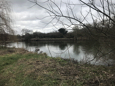 PEG 85-86 Pictures